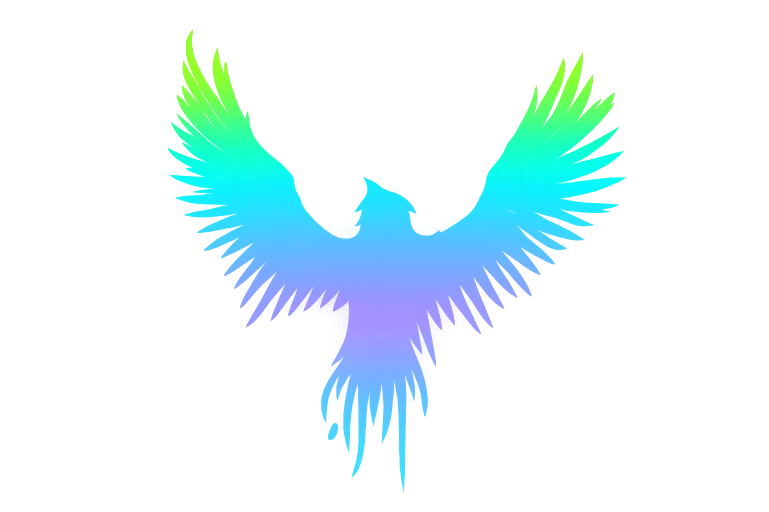 Fly High Adventure Park Features